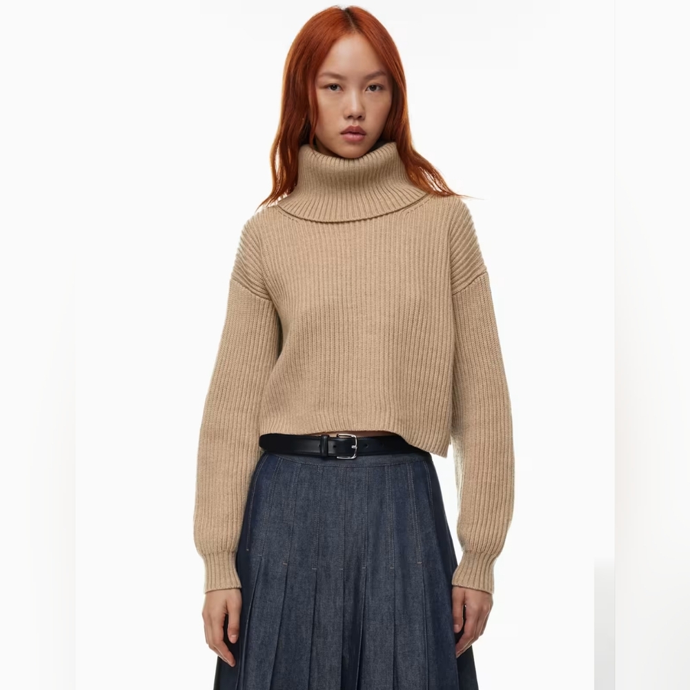 Babaton Guell Turtleneck Sweater